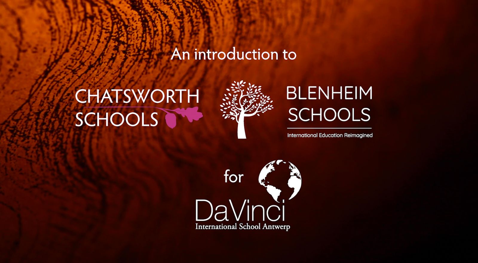 Da Vinci International School